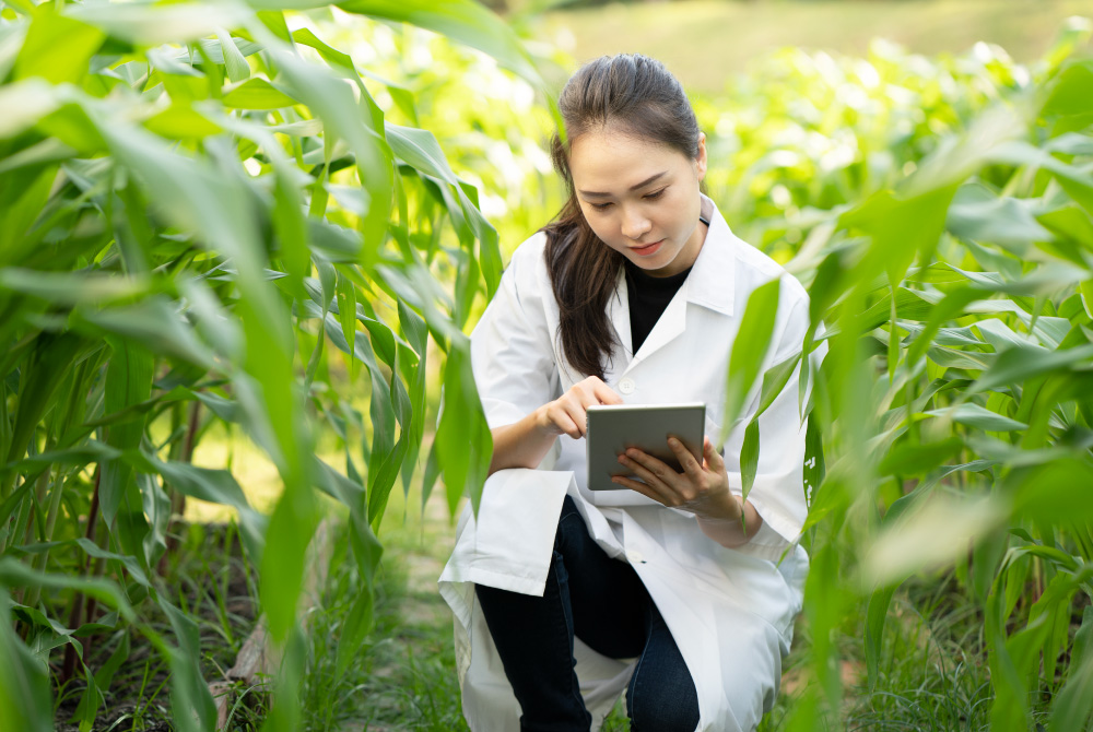 Woman in white lab coat kneeling in a field of green vegetation taking data