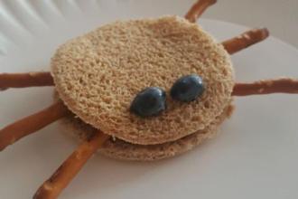 spider-shaped, circular shaped sandwich with pretzel sticks for legs, and 2 blueberries for eyes